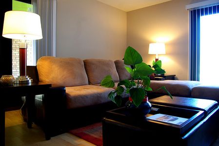 Contemporary Décor