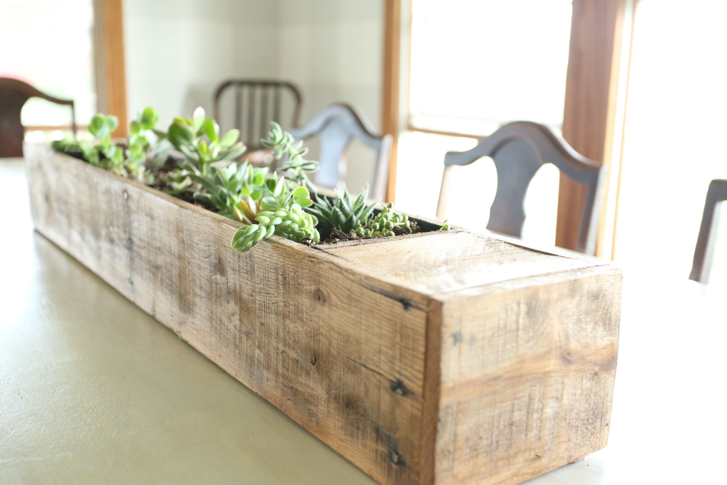 Succulent Planter From Pallet - Image 1