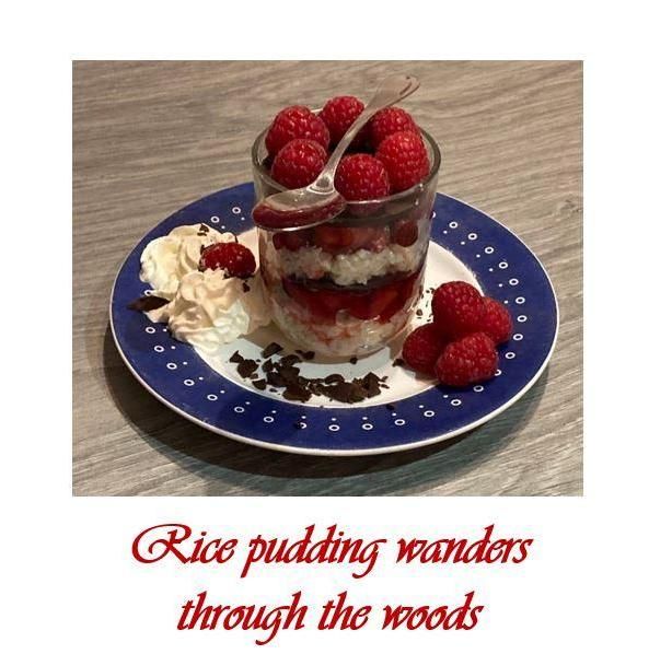 Rice Pudding Wanders Through the Woods