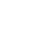 download {{ file.name }}