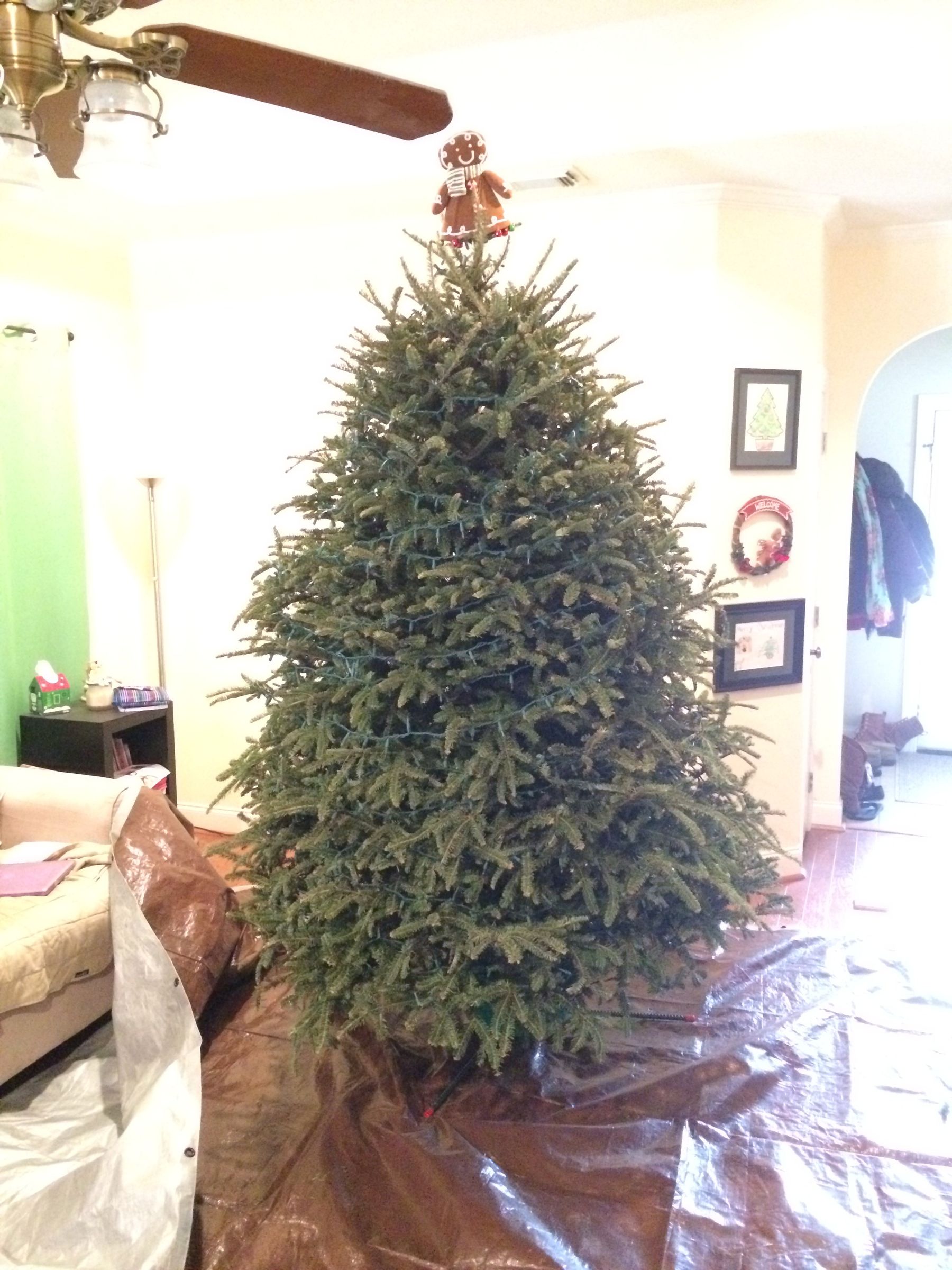 Less Messy Christmas Tree Removal 8 Steps (with Pictures) Instructables