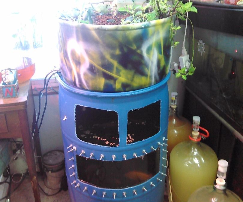 55 Gallon Food Grade Barrel to Aquaponic System With Tank Window