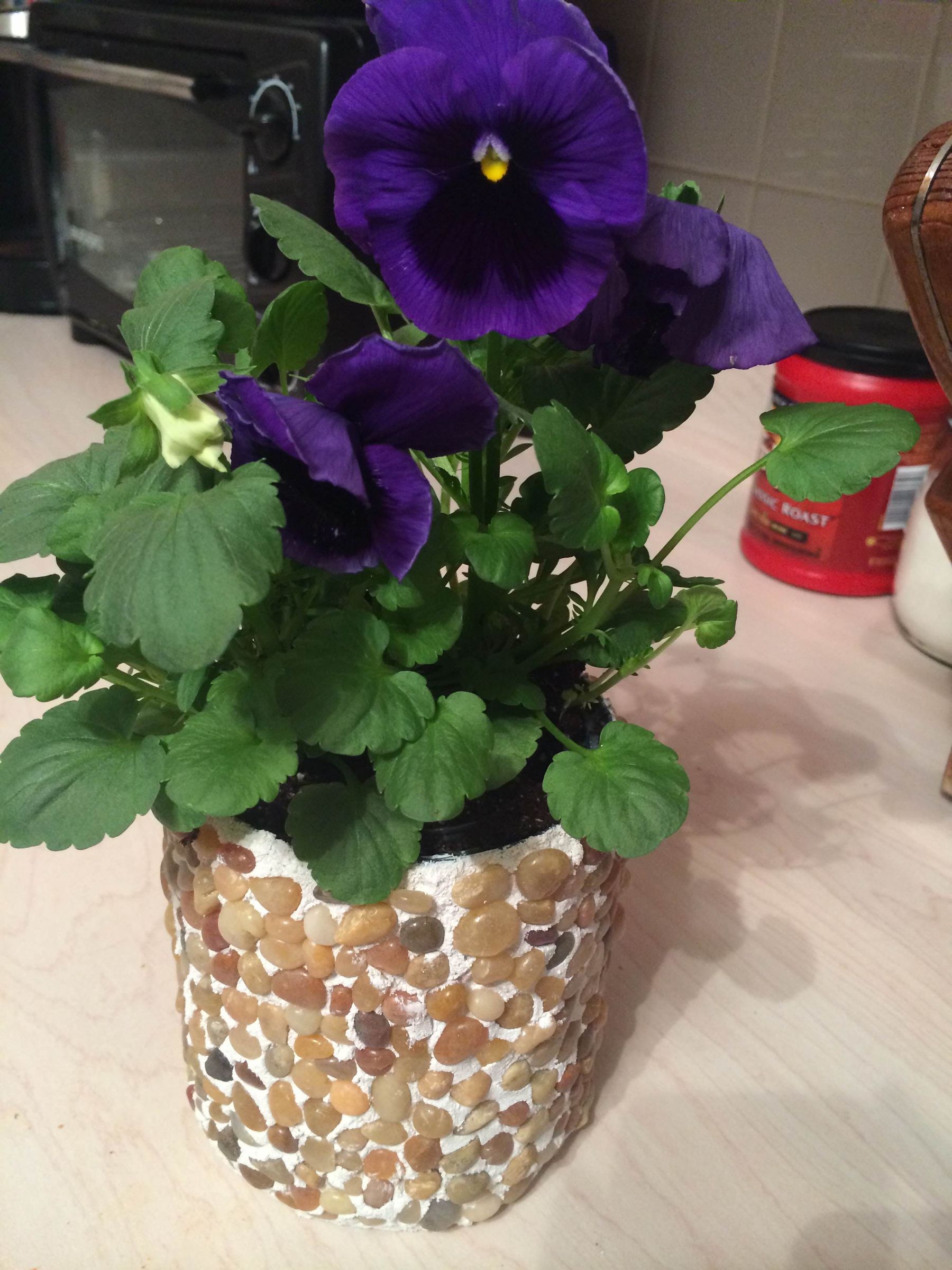 Pebble Flower Pot 5 Steps Instructables