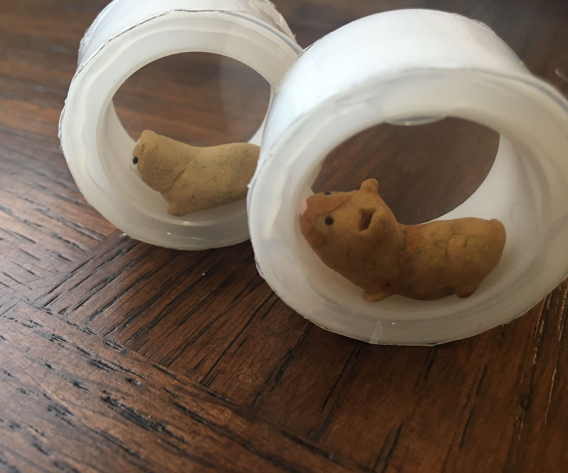 Hamster Race Game