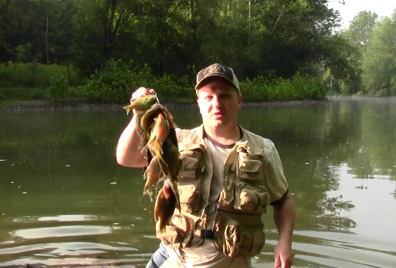 How to Catch Lots of Bluegill and Rock Bass