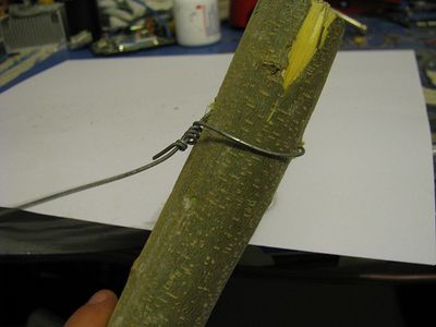 Attaching the Spring to the Stake.