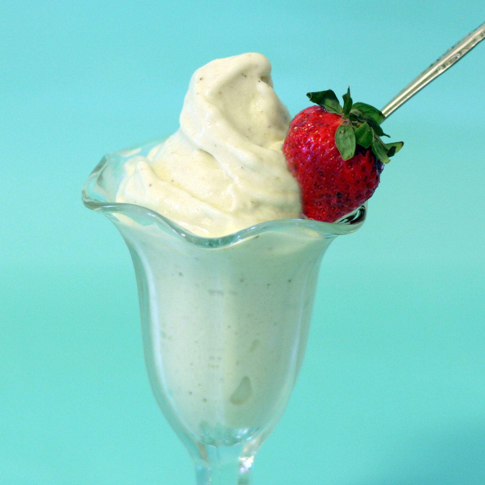 1-ingredient Ice Cream