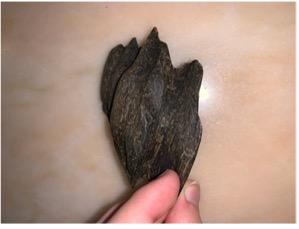 وصف المشكلة