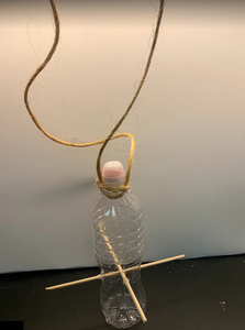 Hanging Bird Feeder