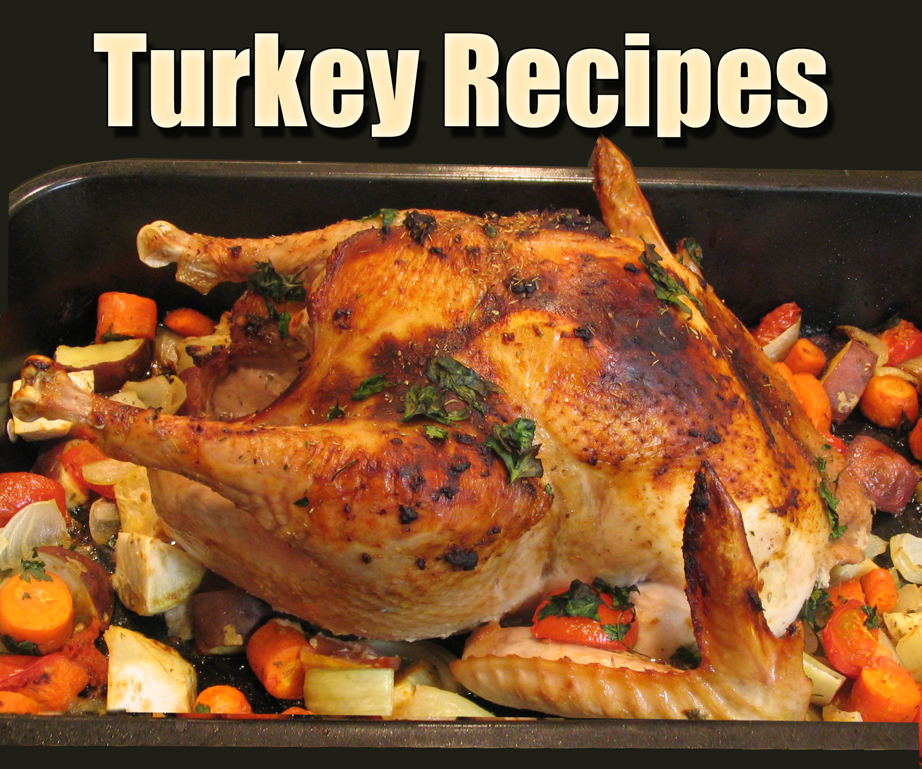 20 Turkey Recipes for Every Appetite