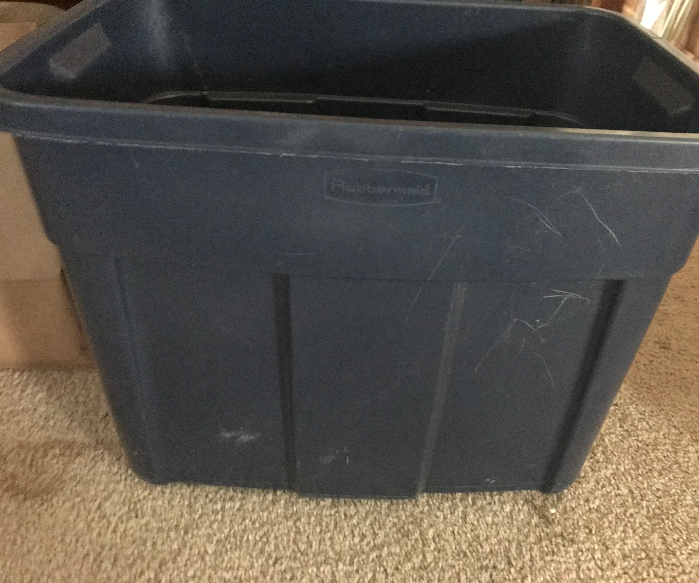 How to Make a Piglet Emergency Kit