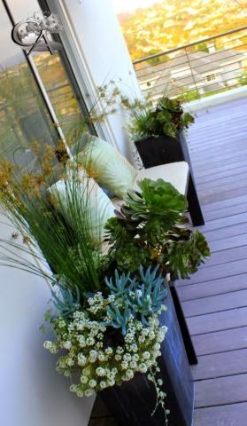 Outdoor Space on Terrace Garden