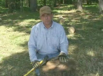 Chop and Store Firewood