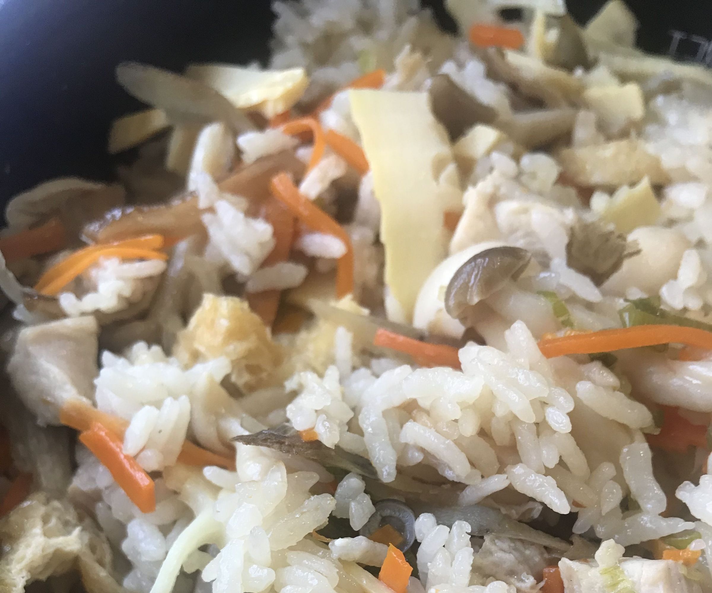 Takikomi Gohan (Steamed Together Rice)