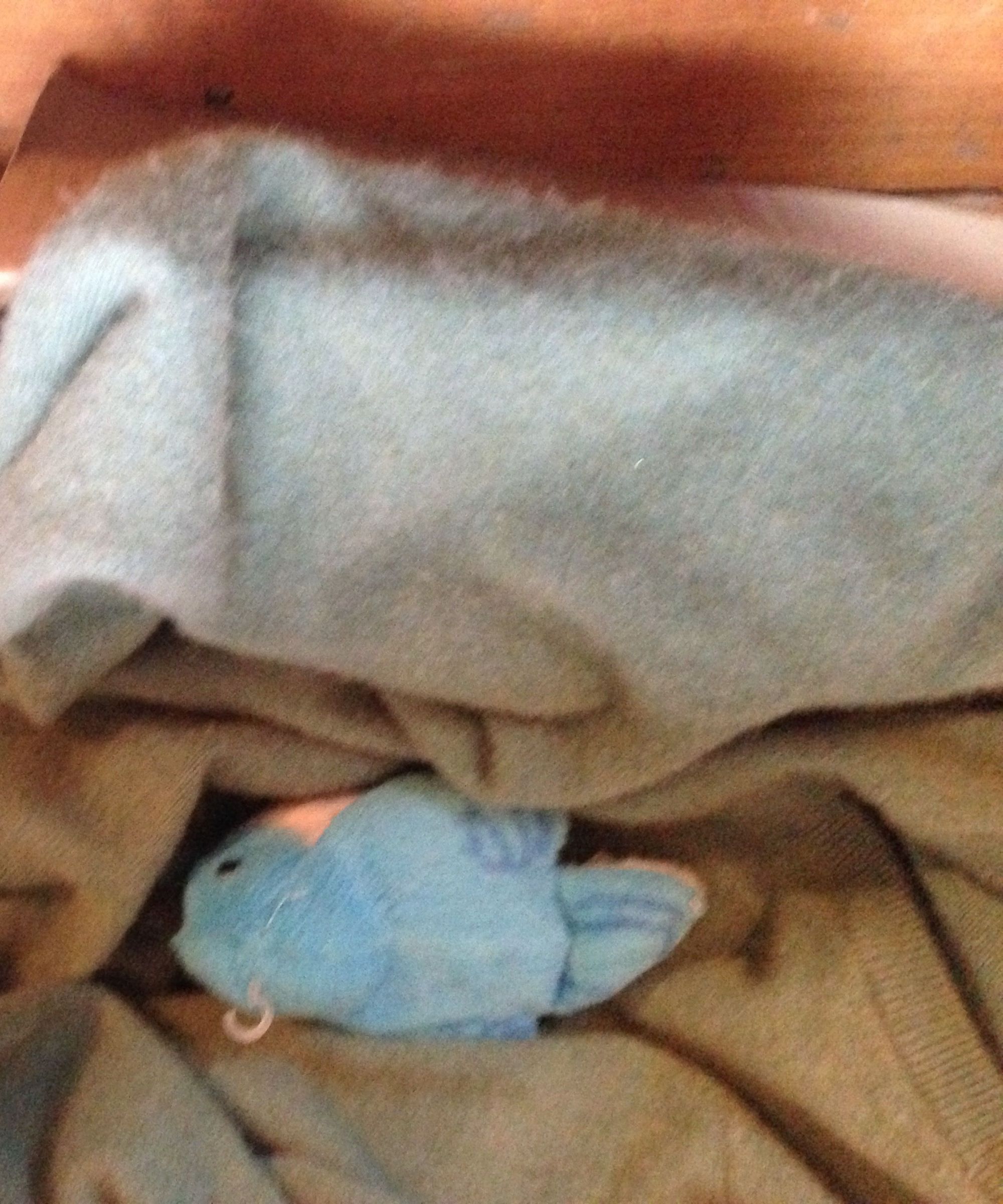 Beginner's Cat Pillow (A Pillow for a Cat, Not of a Cat)