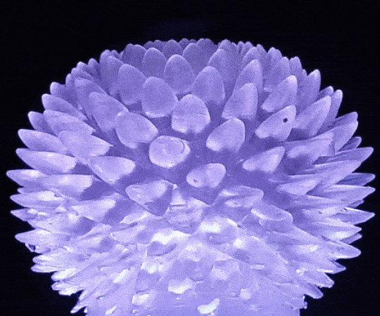 Hand-held Zoetrope Sculpture