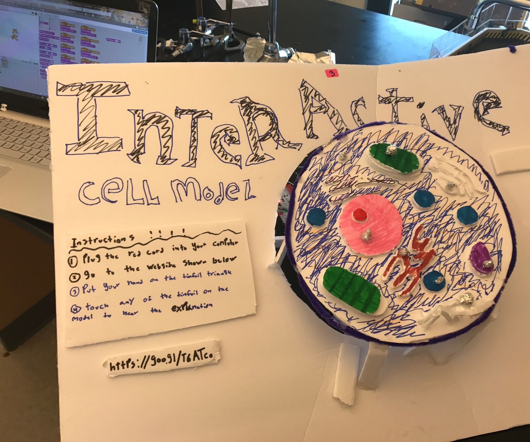 Interactive Cell Model (Makey-Makey)