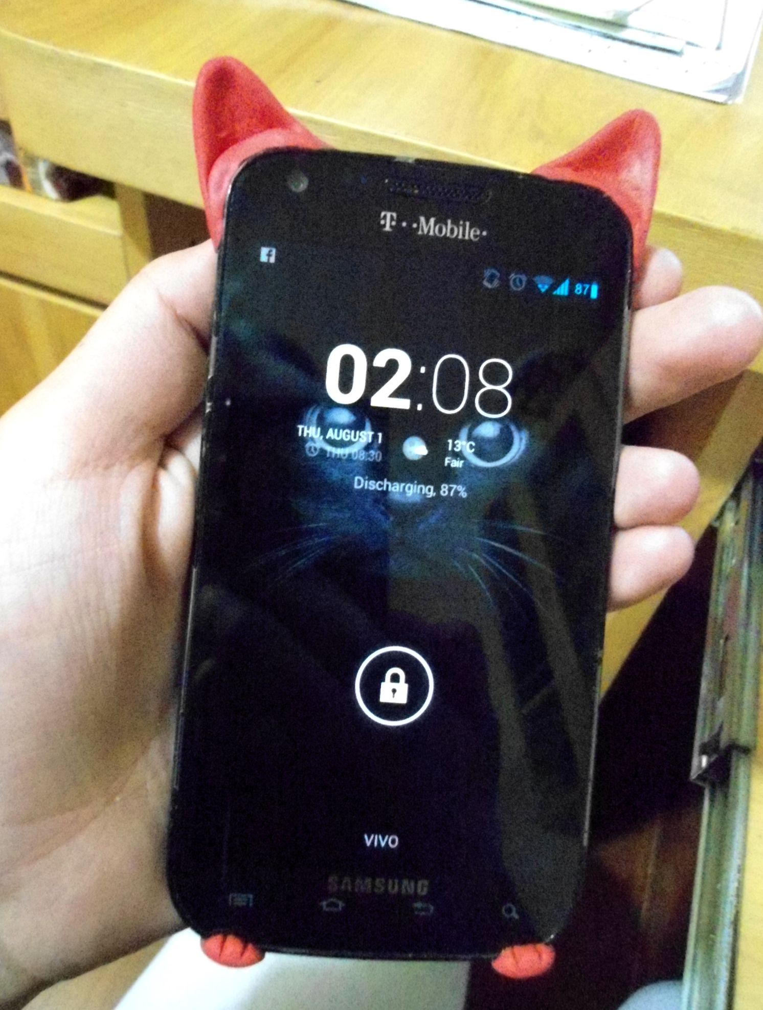 Catfying Your Galaxy S2 With Sugru
