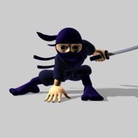 The Dark Ninja