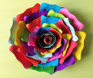 Rainbow Roses Science Project