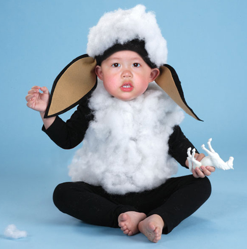 Ba Ba Black Sheep Halloween Costume