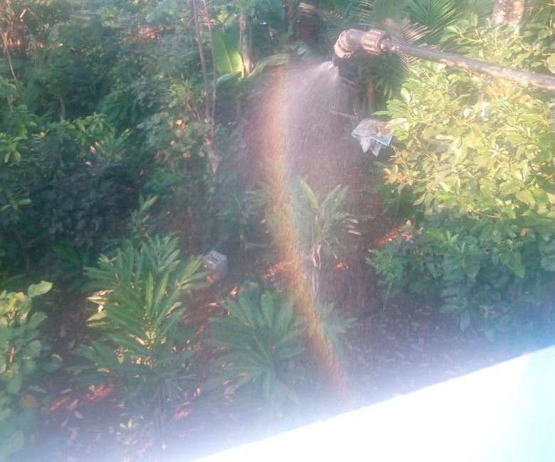 Rainbow Mist