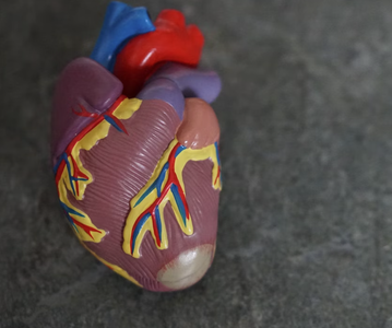 Heartbeat Pulse Train Circuit