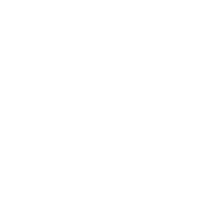 download {{ file.name }}