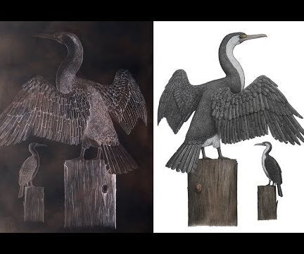 Copper Plate Etching