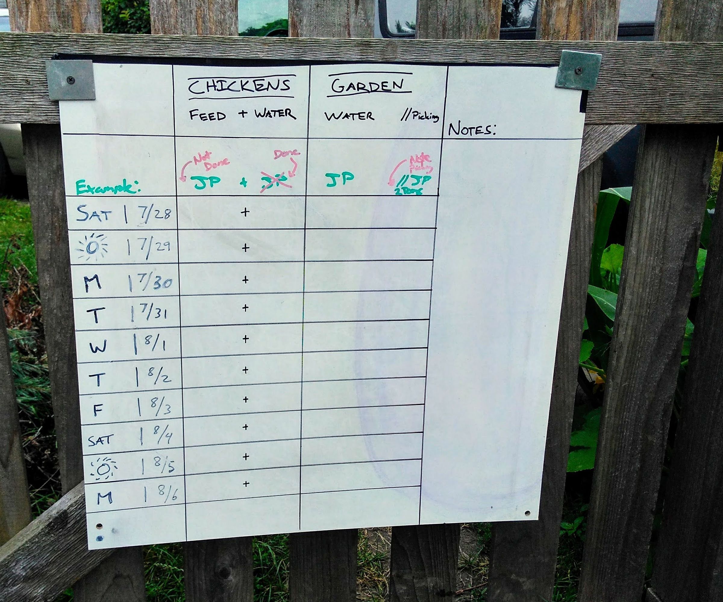 How to Manage a Garden on Vacation