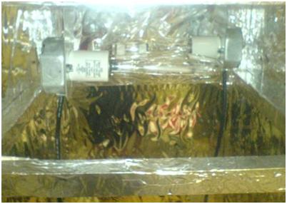 how to make a grow box