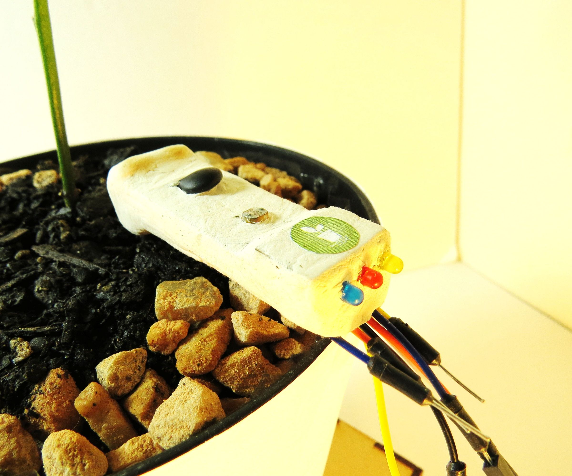 Sensory Device for "The Plant Doctor - Plant Care Instruments"