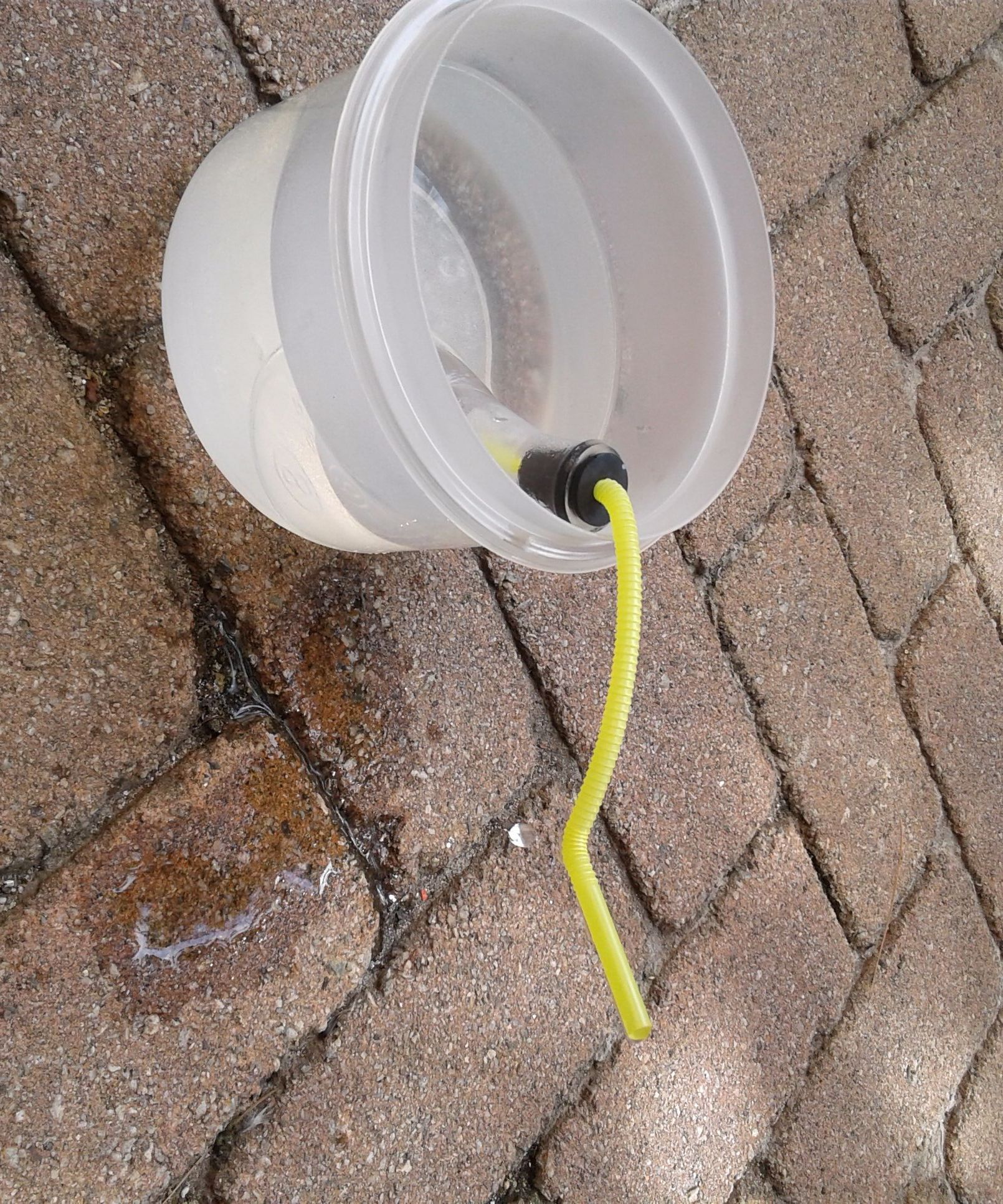 5 simple water tricks using temperature changes