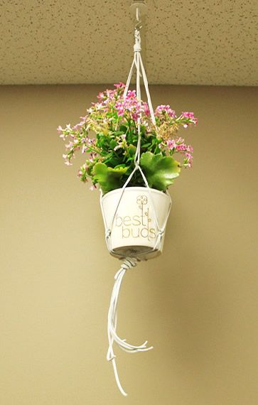 DIY Suede Macrame Plant Holder