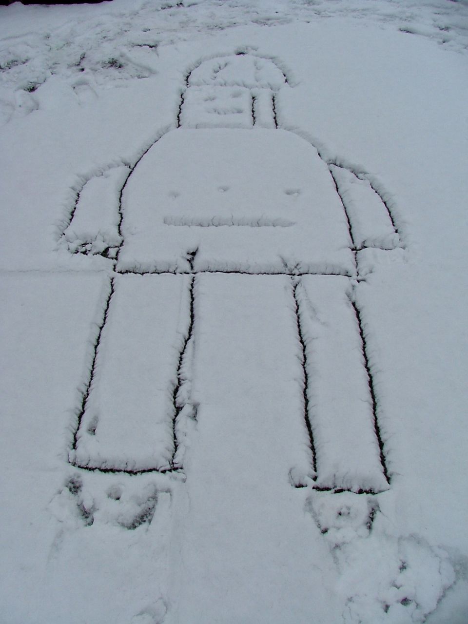 Snowbot the Robot