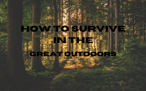 How to Survive in the Great Outdoors