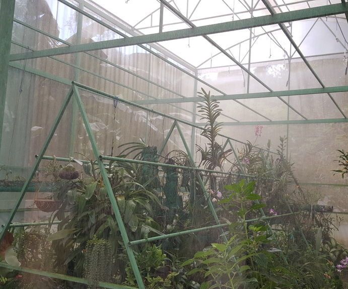 Make Your Own Greenhouse (Construct, Plant and Care)