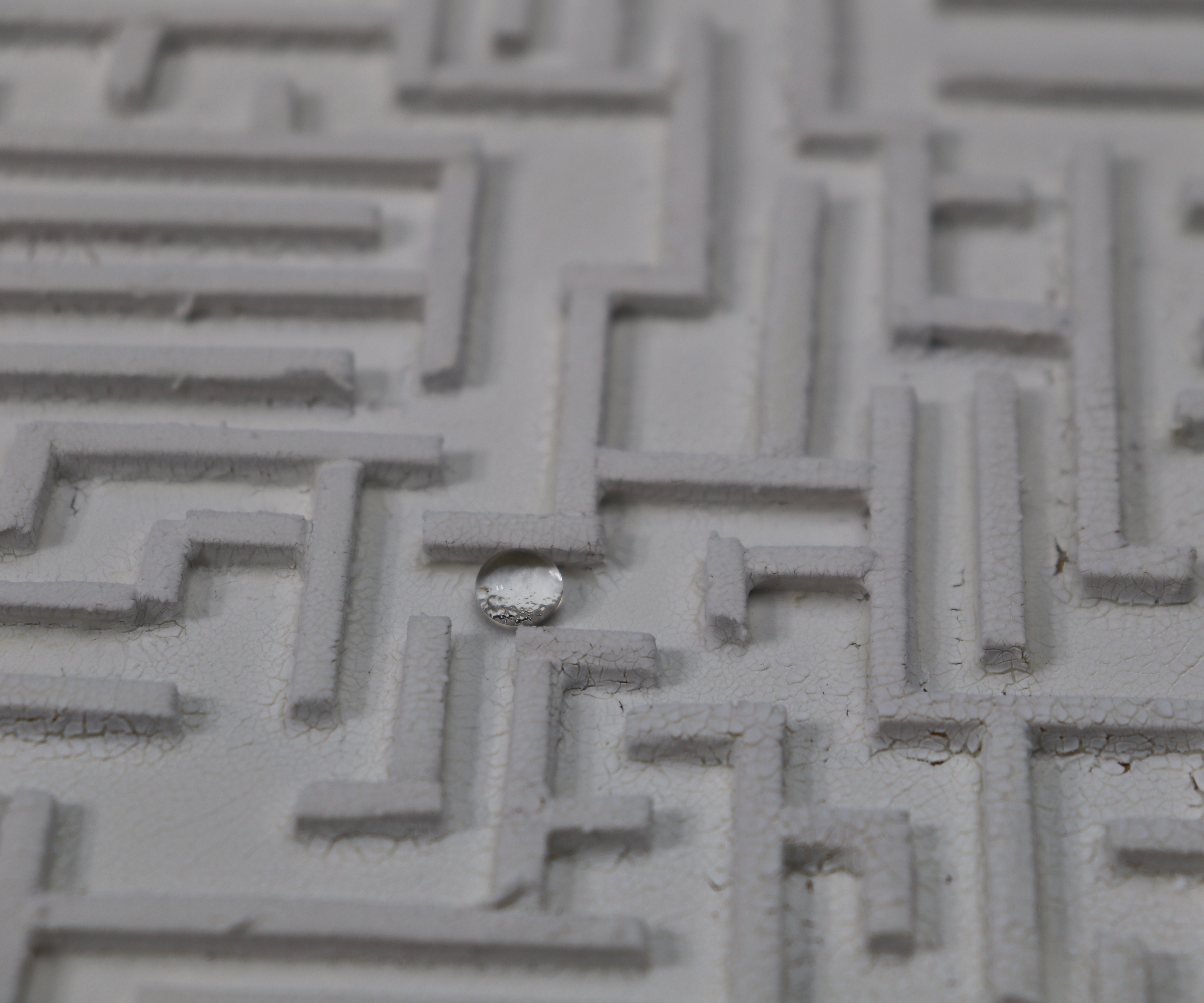 Hydrophobic Maze