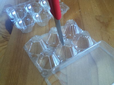 Mini Greenhouse With Plastic Egg Carton