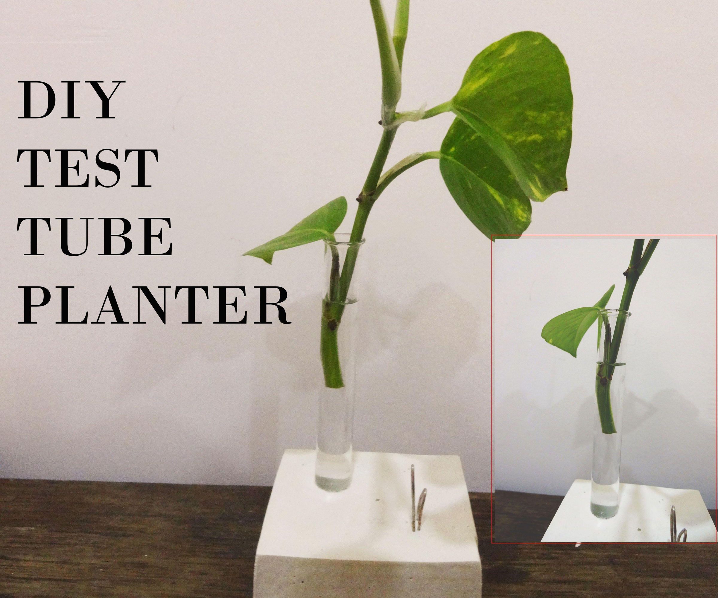 Diy Test Tube Planter
