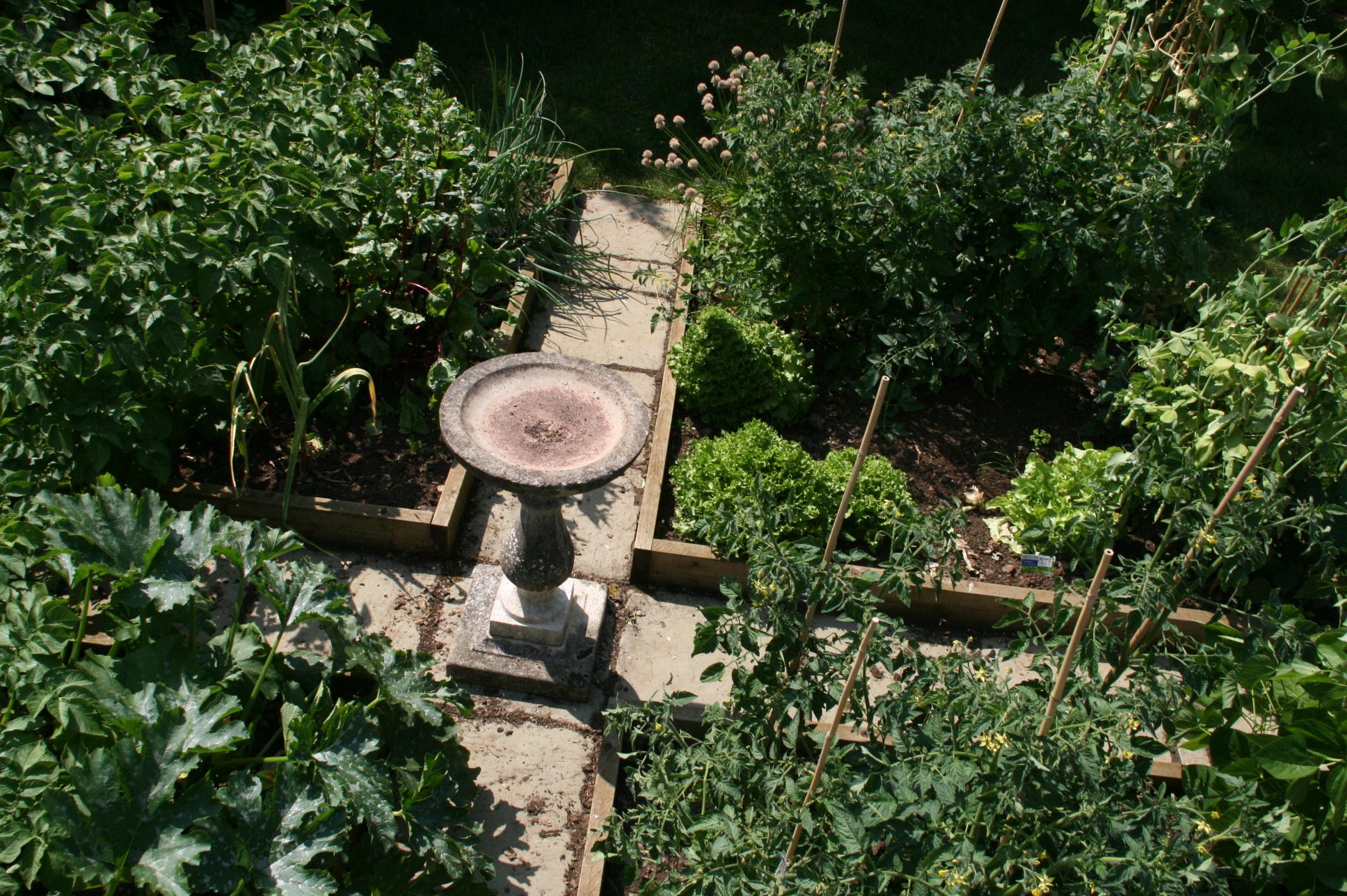 Vegetable Patch 6 Steps (with Pictures) Instructables