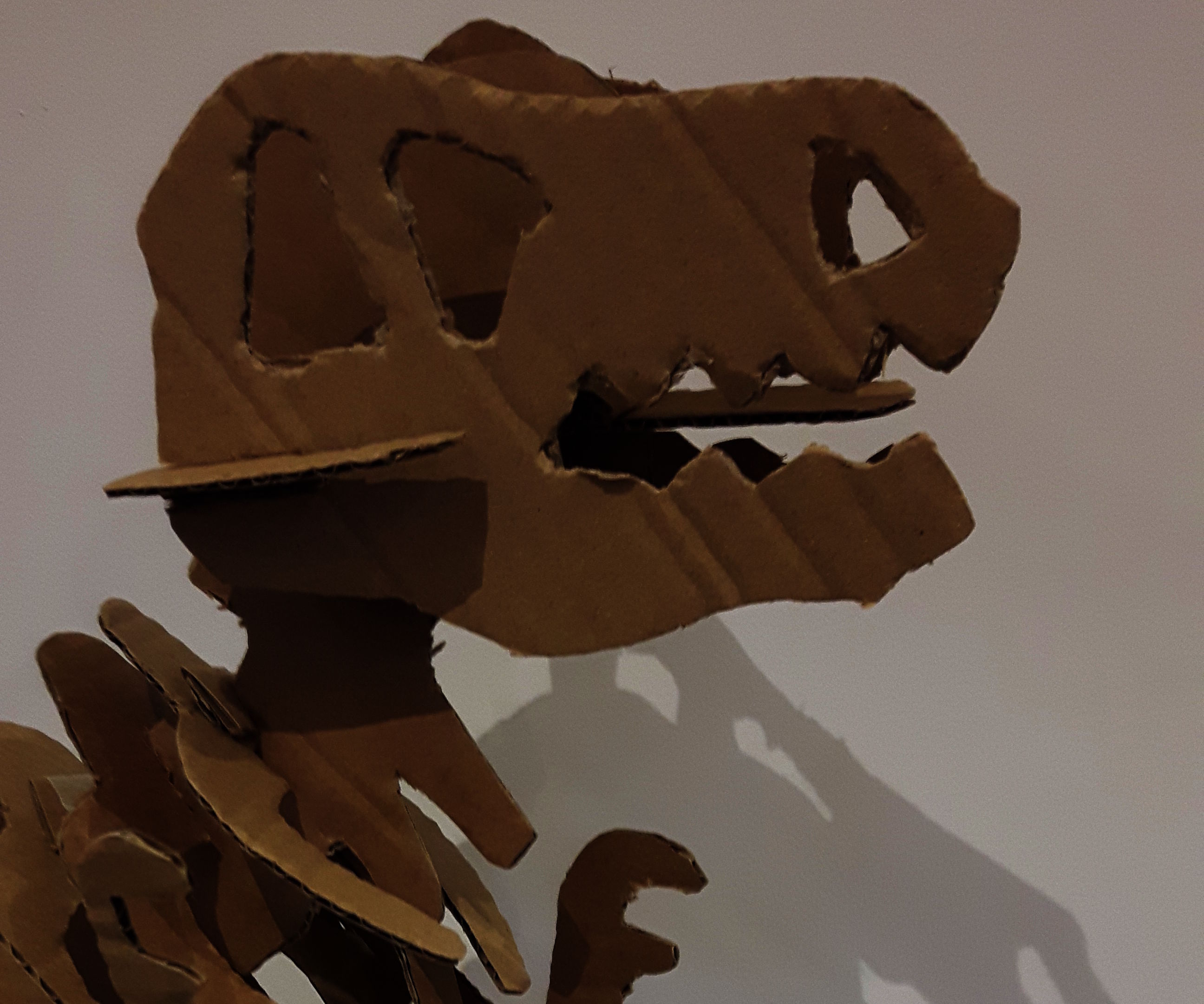 Large Cardboard Dinosaur Skeleton
