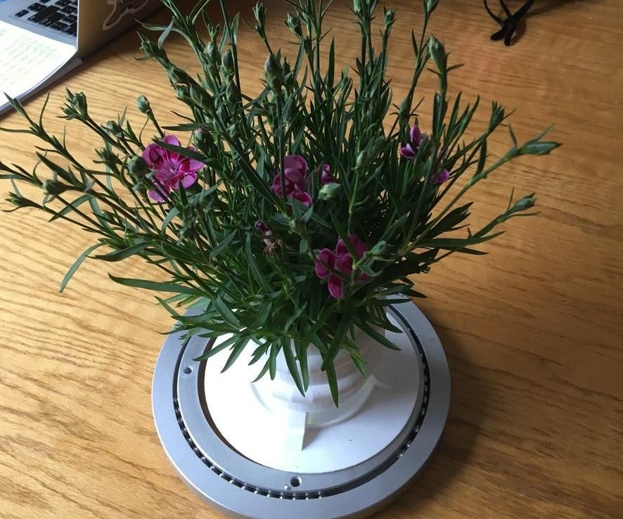 Spinning Plant Pot