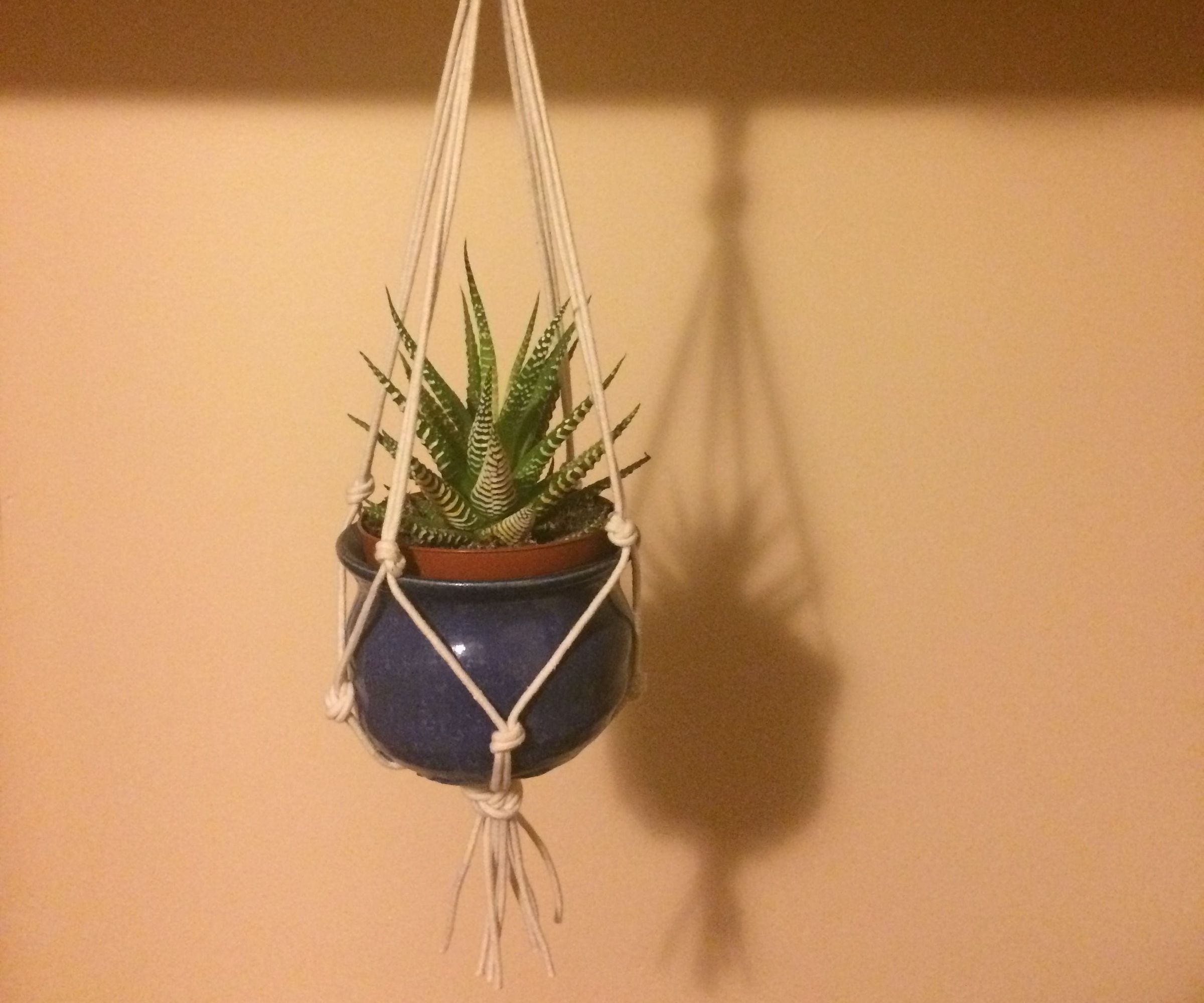 Macrame Plant Holder