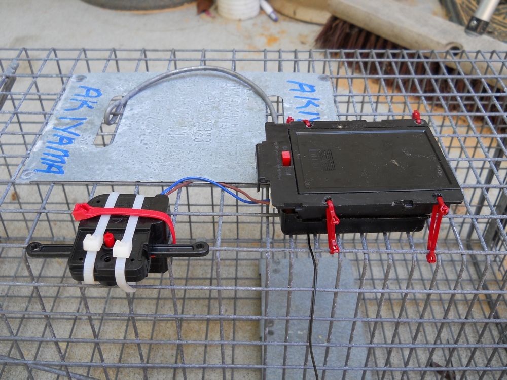Remote Control Cage Trap : 5 Steps (with Pictures) - Instructables