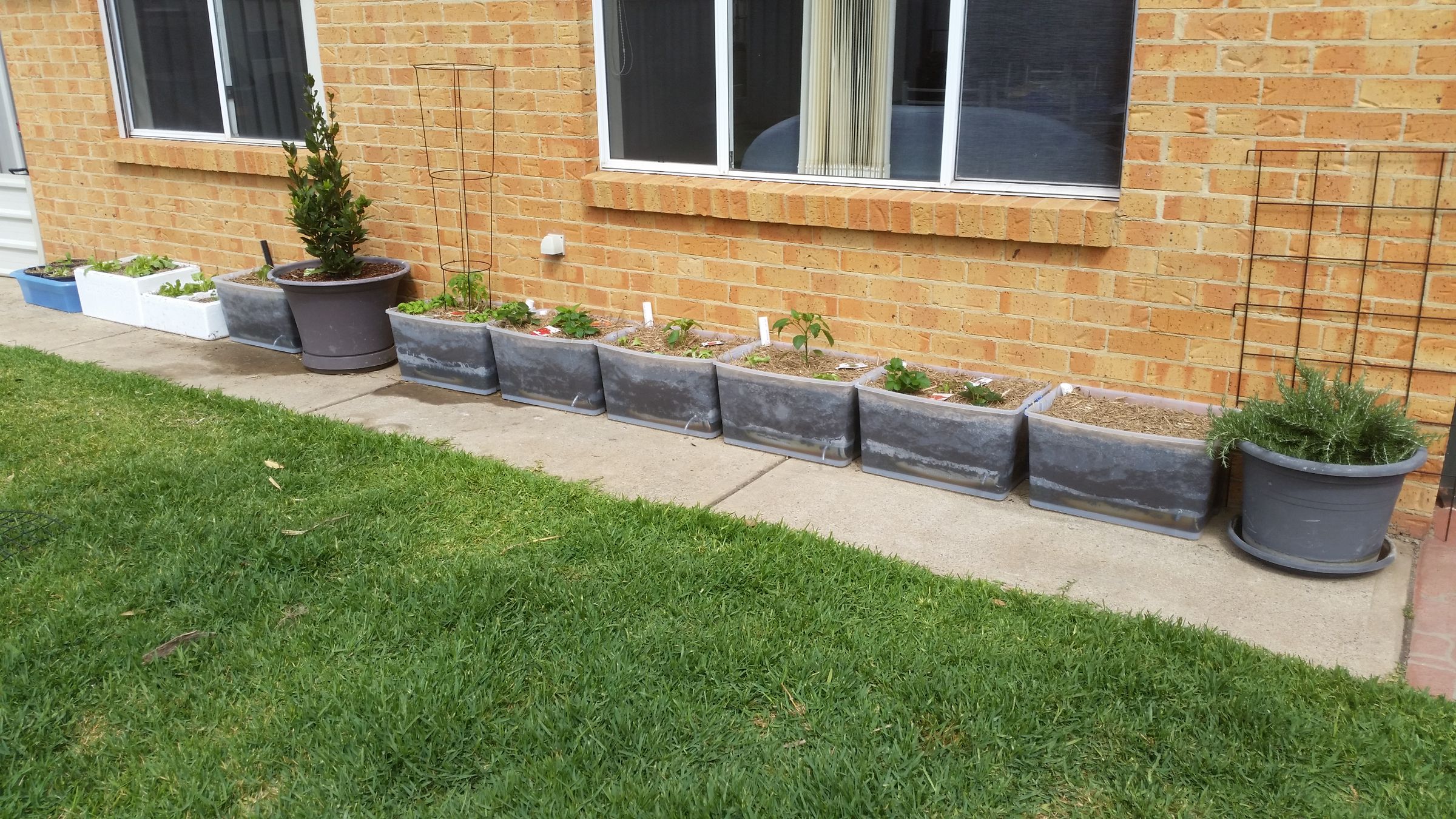 Cost Effective Plastictub Wicking Beds 6 Steps (with Pictures