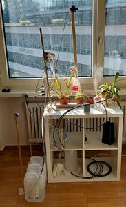 Final: Putting Everything Together