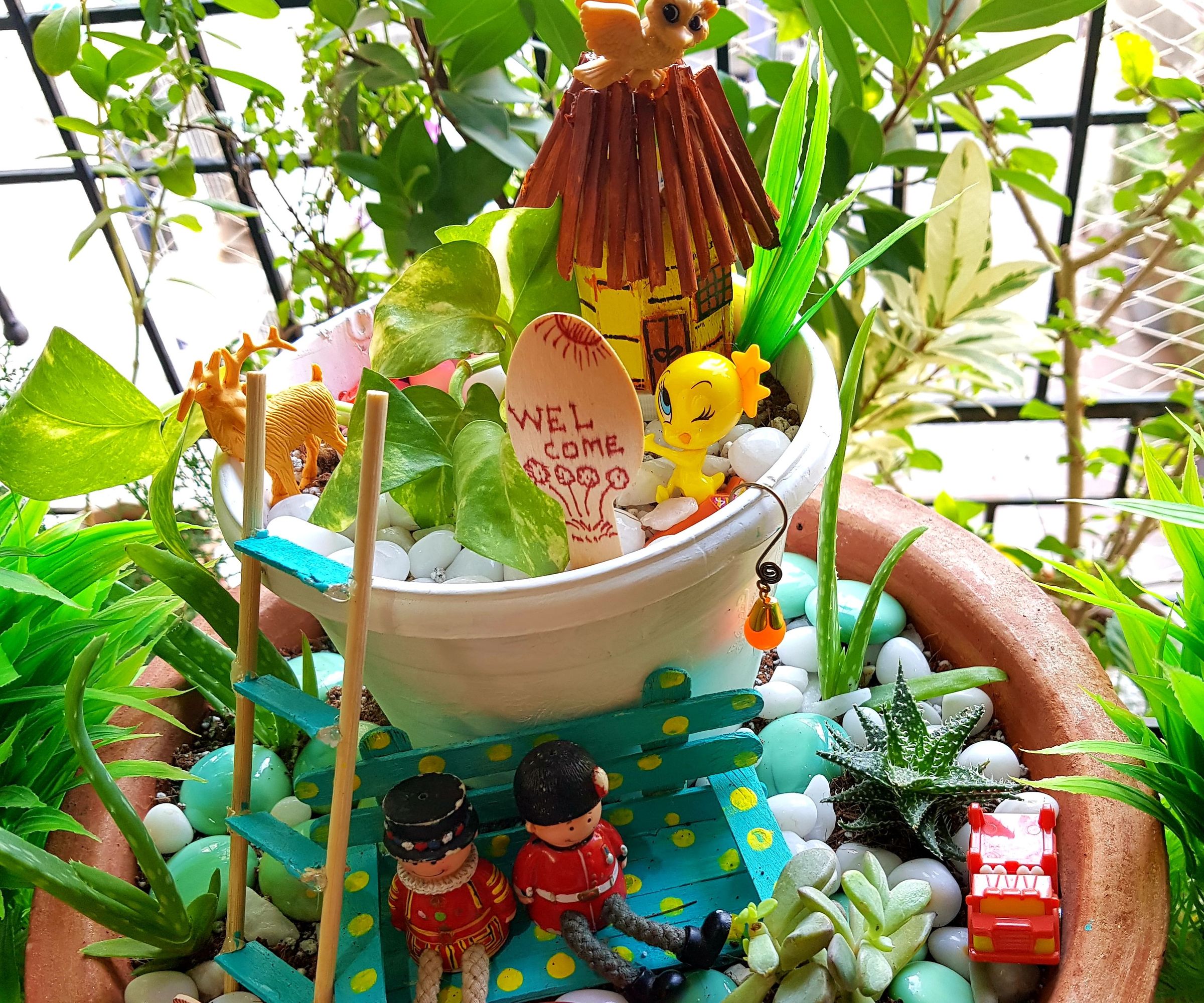 DIY Mini Garden - With Succulents and Cactus