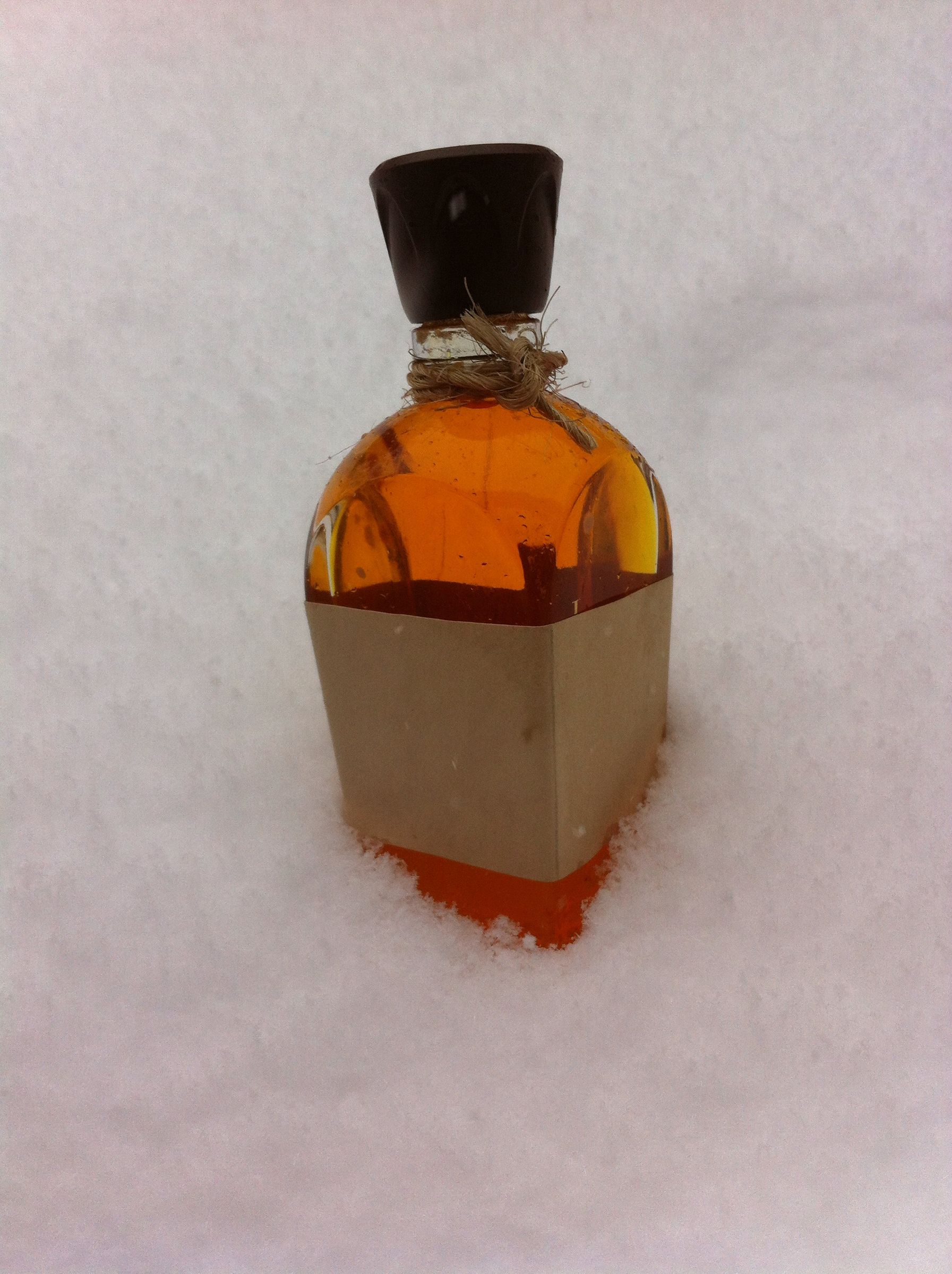 Skyrim Potion Replica #1