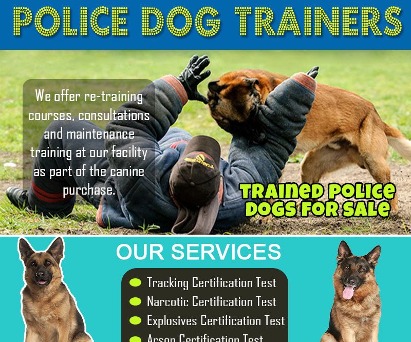 Police Dogs for Sale